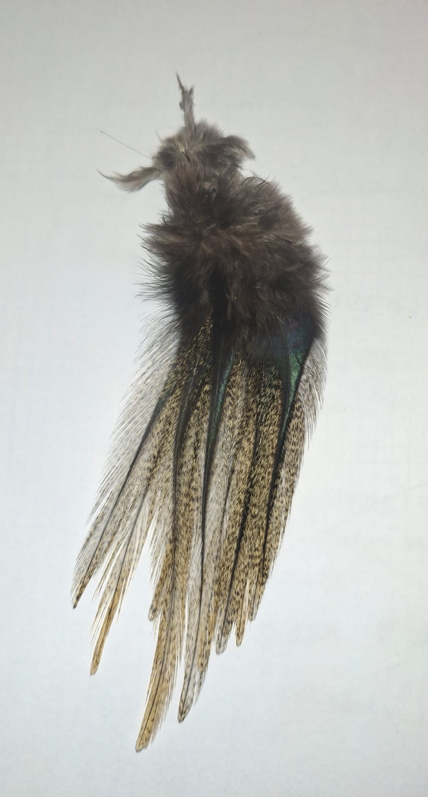 Colgadera de Pardo