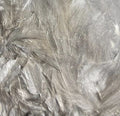 Cuello de Gallina India