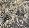 Cuello de Gallina Parda