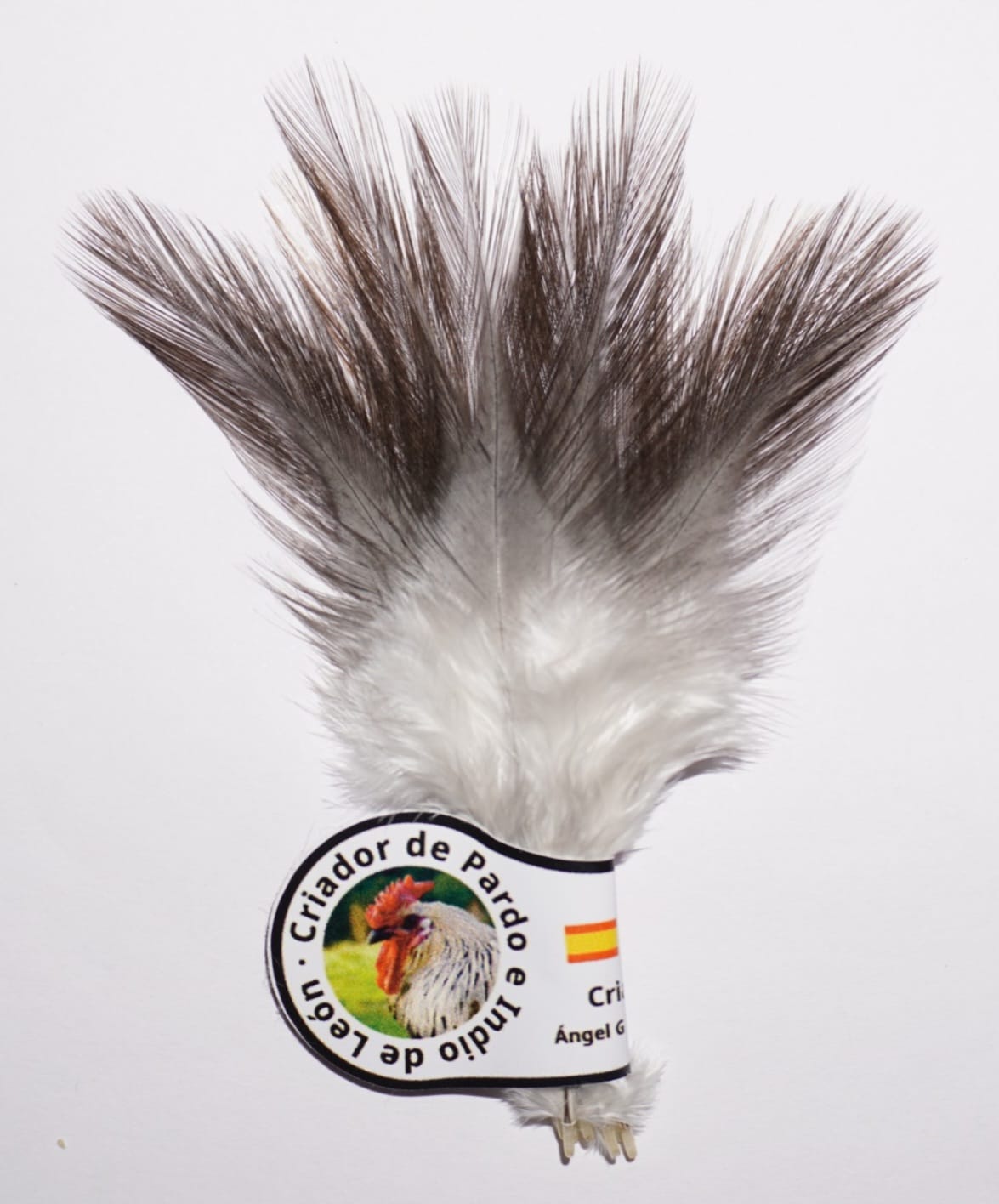 Indio Oscuro (Dark Dun)