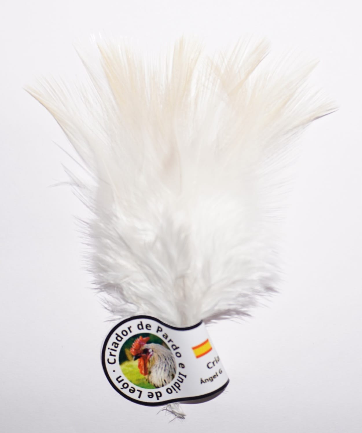 Indio Palometa (White)